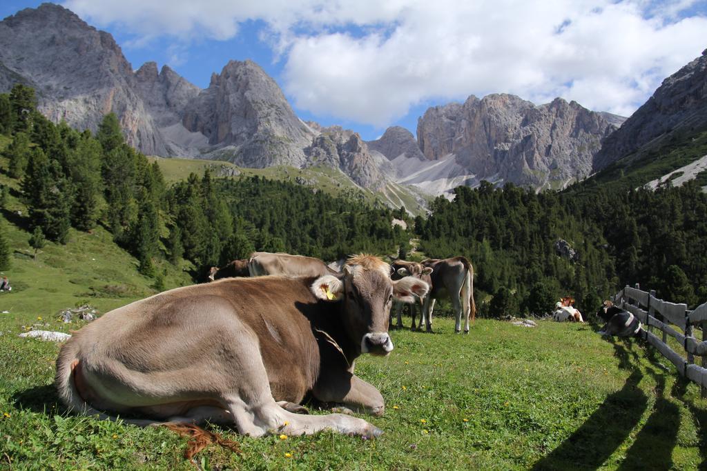 Santa Cristina Val Gardena Apartments Vaiolet מראה חיצוני תמונה
