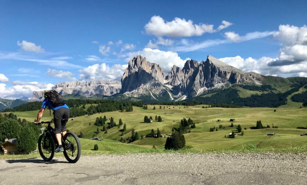 Santa Cristina Val Gardena Apartments Vaiolet מראה חיצוני תמונה