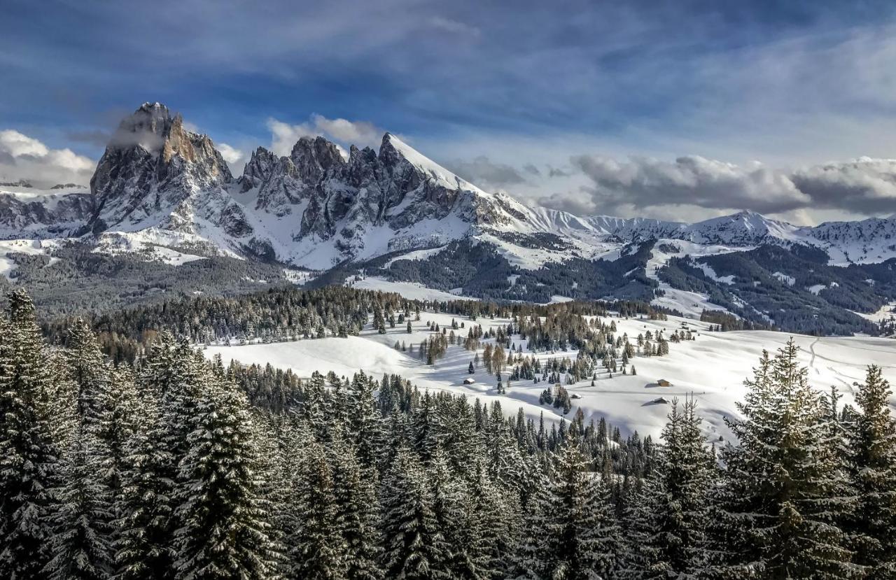 Santa Cristina Val Gardena Apartments Vaiolet מראה חיצוני תמונה