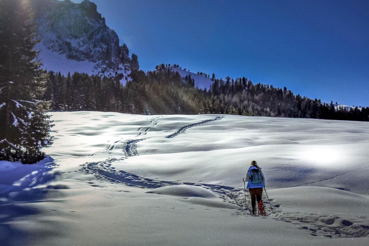Santa Cristina Val Gardena Apartments Vaiolet מראה חיצוני תמונה