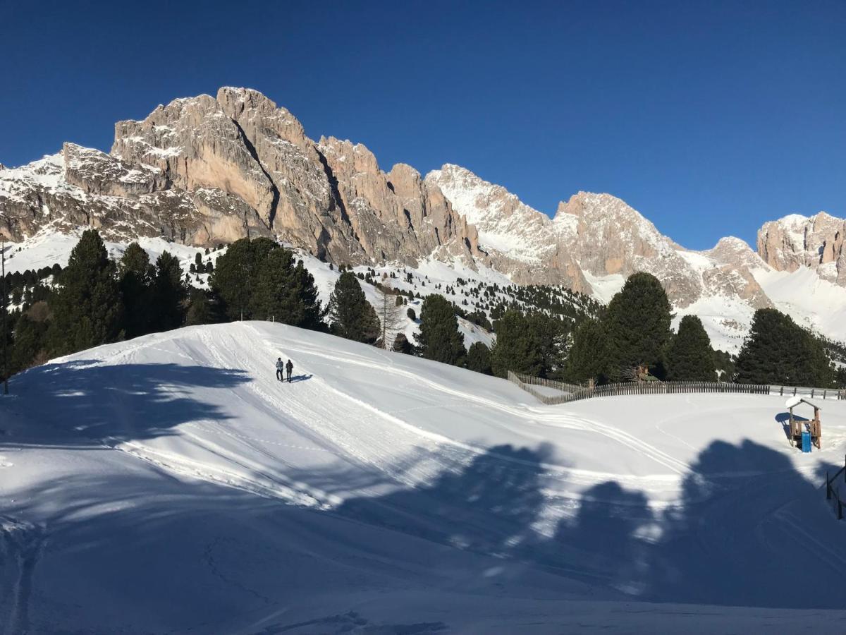Santa Cristina Val Gardena Apartments Vaiolet מראה חיצוני תמונה